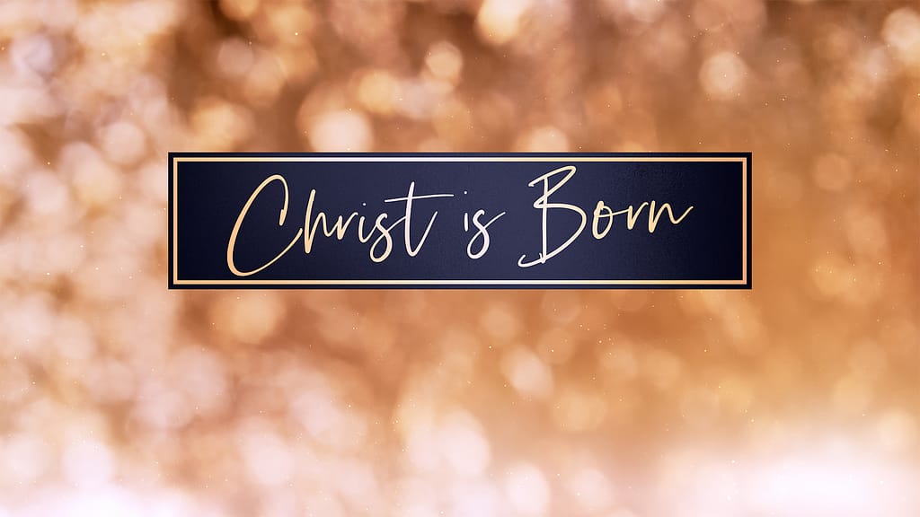 Christmas Light Collection by Lifescribe Media: Christ is Born