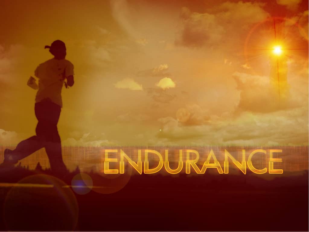 Endurance with Runner