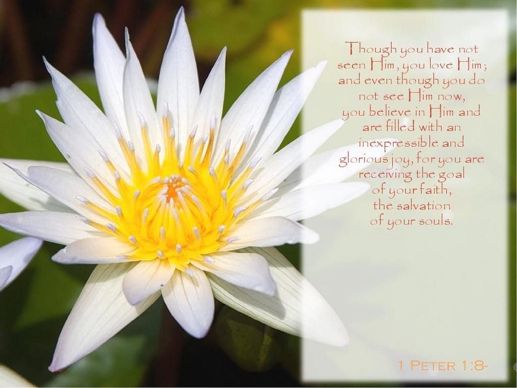 Water Lily with Verse from 1 Peter