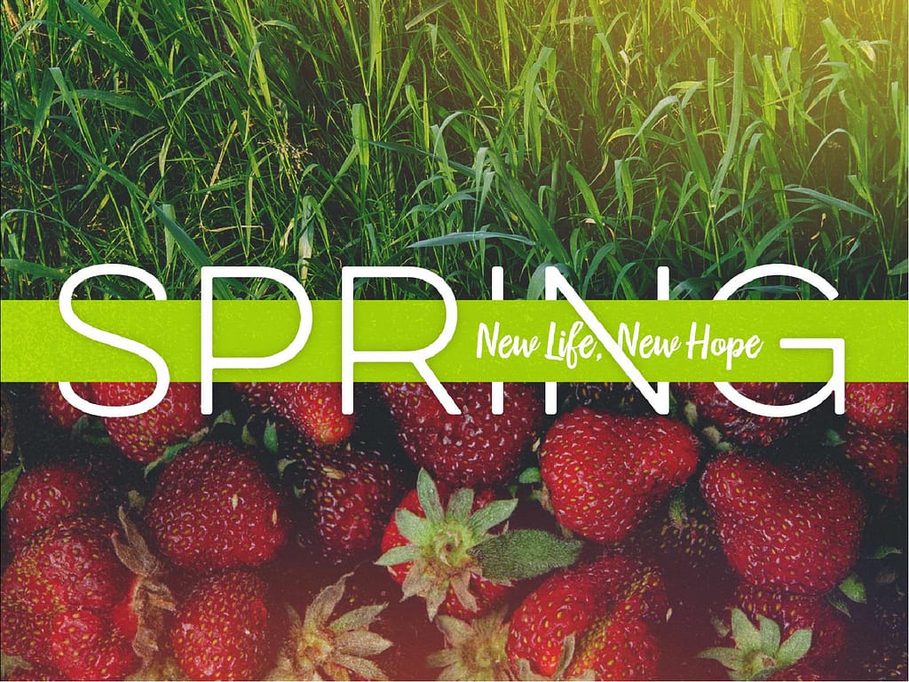 New Life Spring Strawberry Sermon PowerPoint