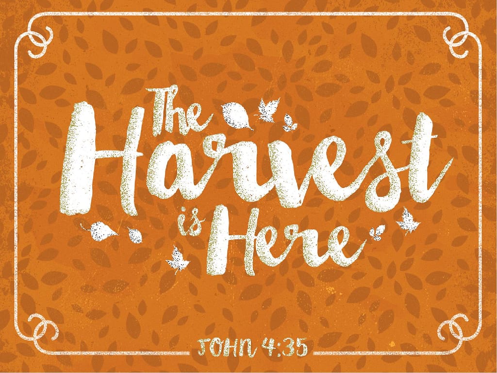 The Harvest is Here Christian PowerPoint