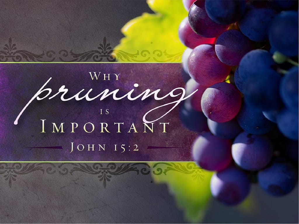 Pruning Is Important Christian PowerPoint