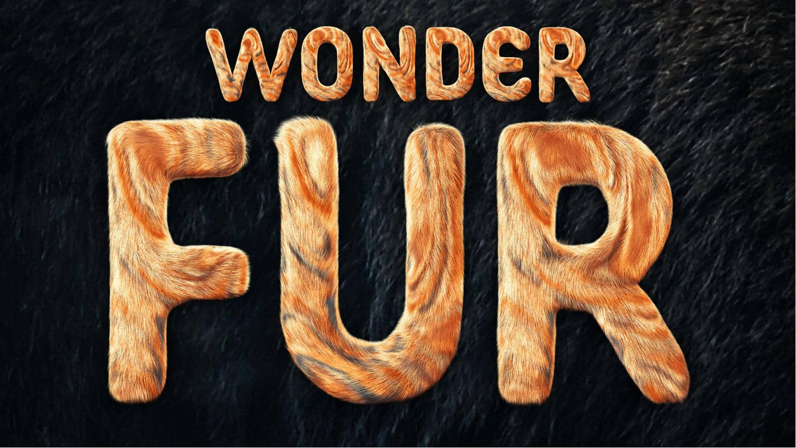 Wonder Fur PowerPoint Game