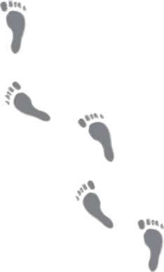 Gray Footprints