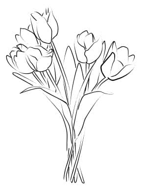 Tulip Bouquet Sketch