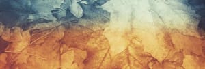 Fall Leaves Watermark Banner