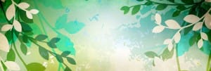 Leafy Website Banner