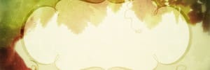 The Vine Website Banner