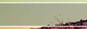 Scenic Field Website Banner