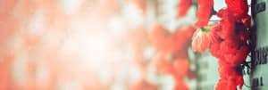 Remembrance Day Church Website Banner