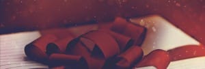 The Ultimate Gift Christmas Holiday Website Banner