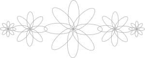 Flower Petals Geometric Design