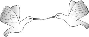 Two Hummingbirds
