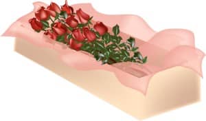 Boxed Long Stem Roses