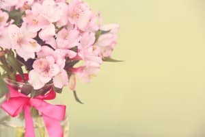 Flowers Vintage Vase Ministry Stock Photo