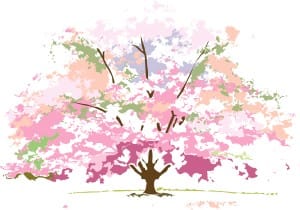 Spring Flowering Tree
