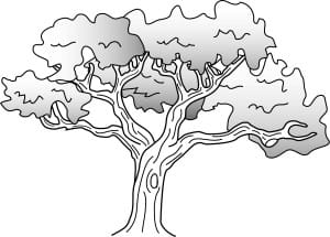 Simple Oak Tree Drawing