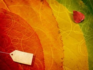 Fall Colors Worship Background