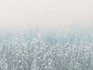 Winter Communion Sunday Christian Worship Background