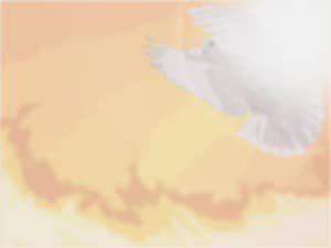 Faded Dove and Fire Photo Background