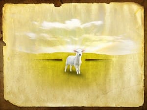 Passover Worship Backgrounds