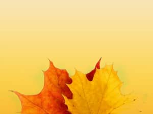 Colors Of Fall Christian Background