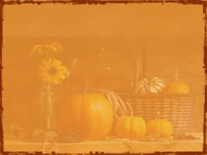 Pumpkin Harvest Background Image