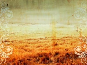 Fallow Ground Worship Background
