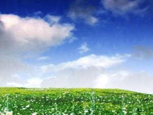 Outdoor Scenery Worship Background