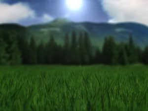 Field Worship Background