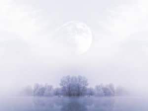 Prince of Peace Christmas Wallpaper