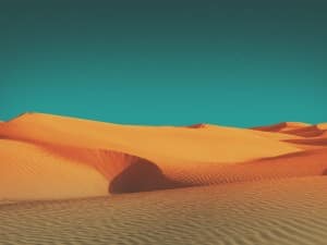 Forty Days of Lent Desert Worship Still
