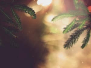 Joy to the World Christmas Worship Background