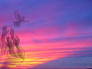 Reaching for Soaring Bird on Purple Sunset