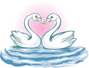 Swan Lovebirds form Heart