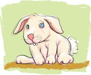Bunny with Green Background