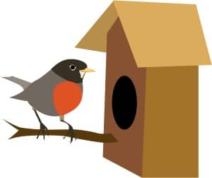 Robin Finds a Bird House