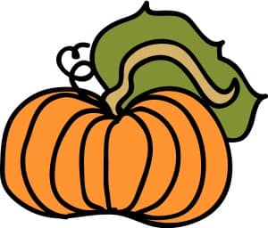 Whimsical Country Pumpkin
