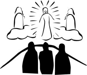 Black and White Transfiguration