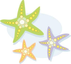 Colorful Starfish with Polka Dots