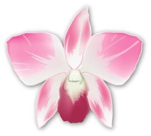 Single Pink Orchid Corsage
