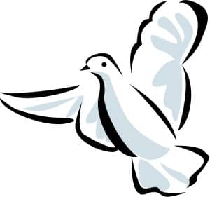 Line Art Dove with Blue
