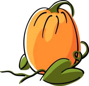 Cute Harvest Pumpkin