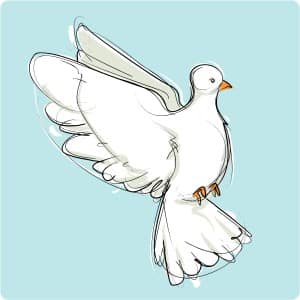 Flying Dove of Peace