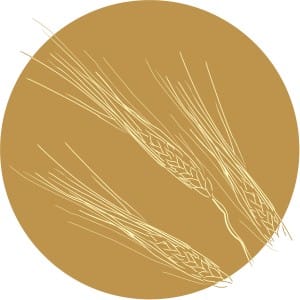 Brown Circle with Golden Wheat