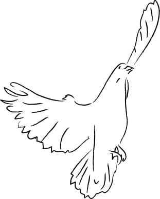 Black and White Dove Ascending