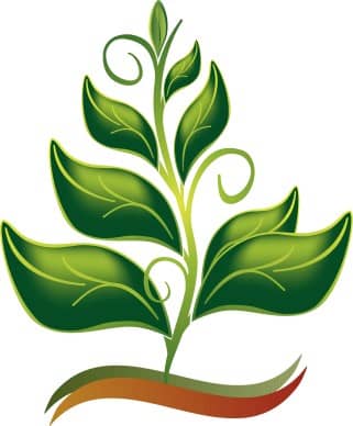 Growing In The Spirit Color Clipart