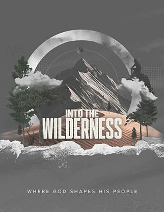 Into the Wilderness: Flyer