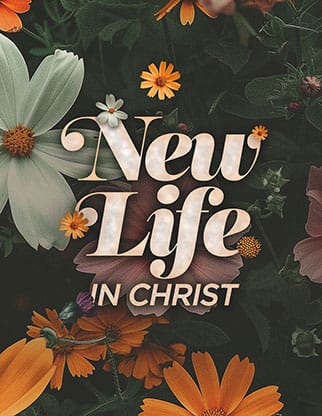 New Life in Christ: Flyer