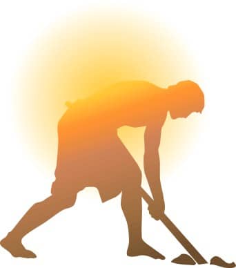 Field Worker in the Sun